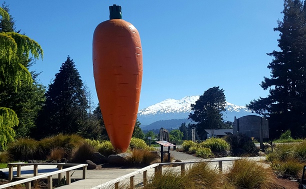 (Photo / Visit Ruapehu)