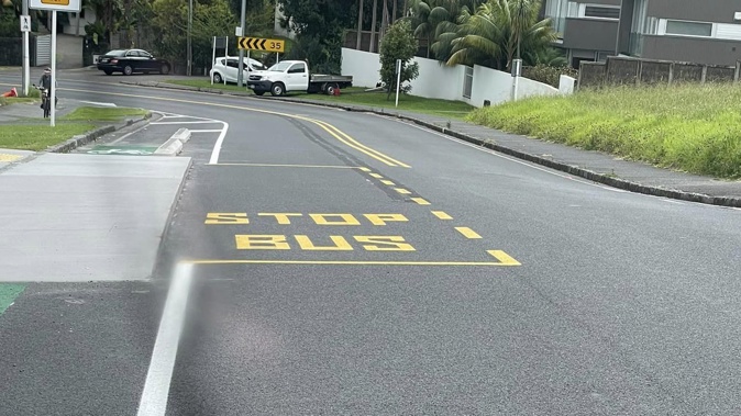 Deputy Mayor says locals are upset about a bus stop jutting out into road, causing traffic issues.