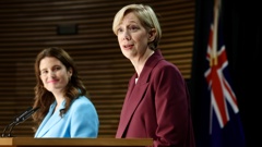 Dr Anna Breman has been announced as the new Reserve Bank Governor. Photo / Mark Mitchell