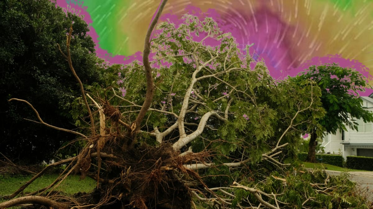 Cyclone Vaianu downgrade doesn’t lessen threat, experts warn