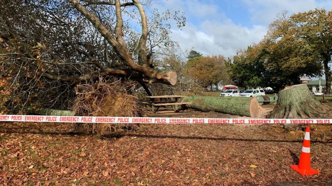 The scene of the tragedy in Cambridge, where Margaret Evelyn was crushed and killed by a falling tree. Photo / Adam Pearse