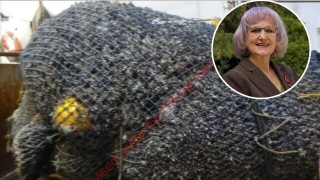 Seafood New Zealand’s CEO Lisa Futschek told the Herald it was “highly regrettable” a record six tonnes of protected coral was seen on the deck of a bottom trawling vessel off the east coast of New Zealand.