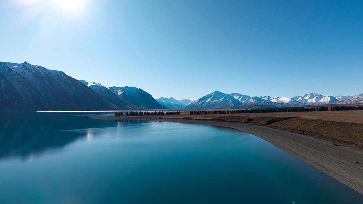 Police investigate alleged assault at council offices involving councillor