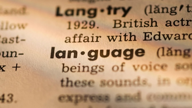 The Cambridge Dictionary has added "skibidi", "tradwife", "delulu", "lewk" and other words to its online edition. Photo / Getty Images