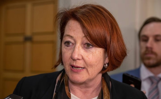 Maggie Barry has denied any abuse aboard an Air New Zealand flight in January. Photo / Mark Mitchell