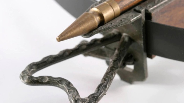 Authorities said Daniel Vae fired a crossbow at a woman, narrowly missing her. Photo / Thinkstock