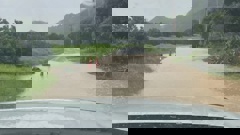 Flooding at North Piha Rd after more torrential rain hit the settlement on Tuesday. Photo / Peter McNally