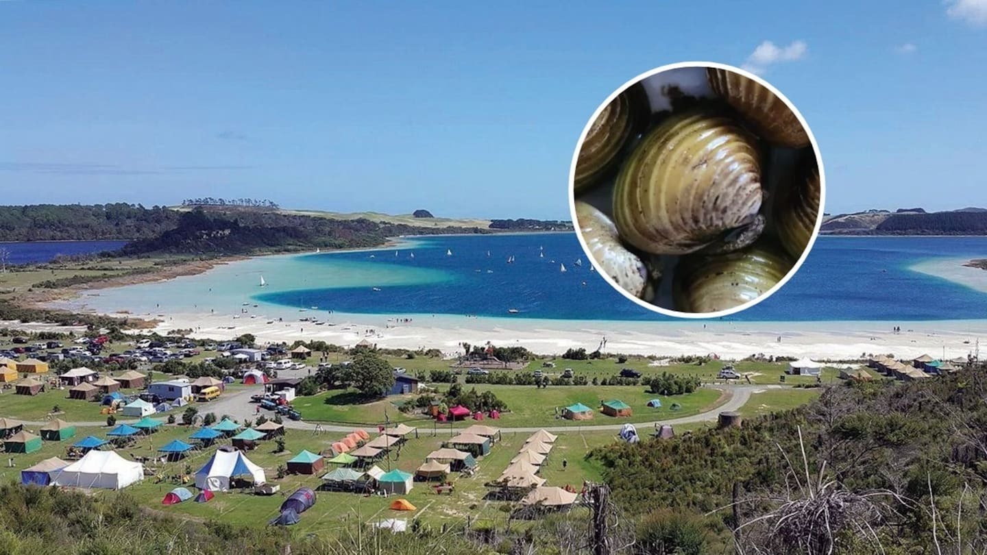 A call has been made to close Kai Iwi Lakes (pictured) to boats because of the threat of gold clams (inset).
