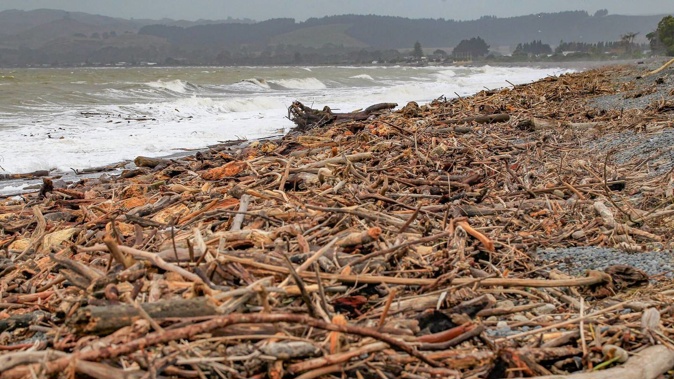 Branches and debris washed up along the Haumoana coastline, south of Napier, on Wednesday. Photo / Warren Buckland