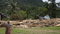 In Indonesia, deforestation is intensifying disasters from severe weather and climate change