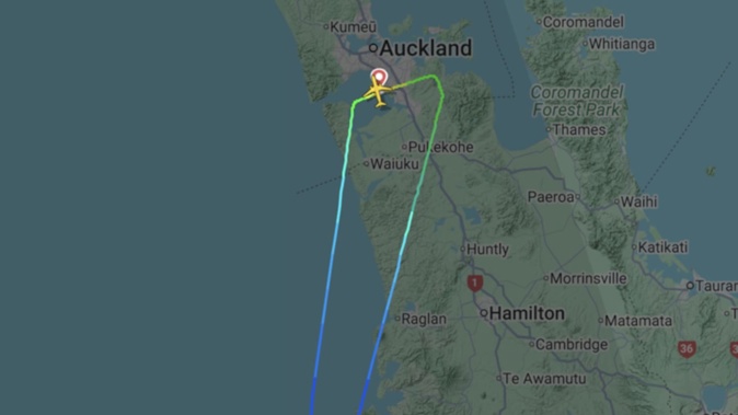 A plane bound for Wellington turned around mid-flight this morning after an engine issue.
