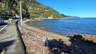 Mystery surrounds identity of woman pulled dead from Wellington Harbour