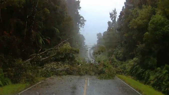 A tree blocks the road on the West Coast after wild weather batters the region. (Photo: Joe Morgan)