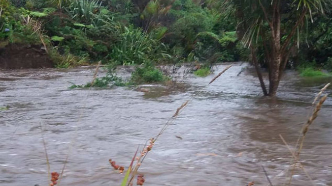 Streams in the Waitakeres became swollen torrents after around an hour of intense rain. (Photo: Hilary Trail (Official) Facebook)