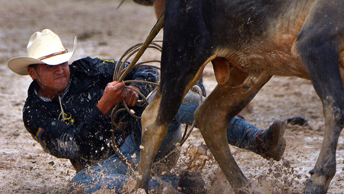 Fresh calls for rodeo to be banned in New Zealand come after a bull broke its leg and was put down in Martinborough. (Photo/ Getty)