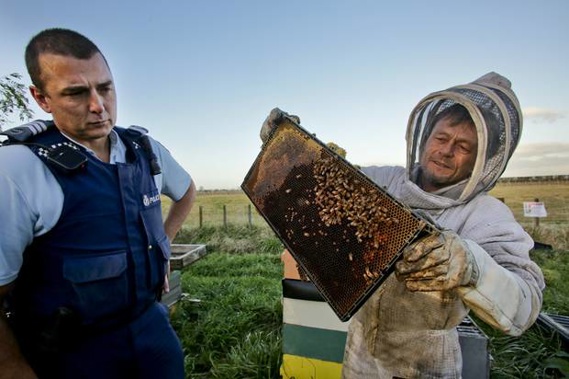 Sergeant Andrew Graham and Bryan Rogers of Beagle's Bees check some hives after 38 were stolen near Hastings in July 2016 (Warren Buckland)