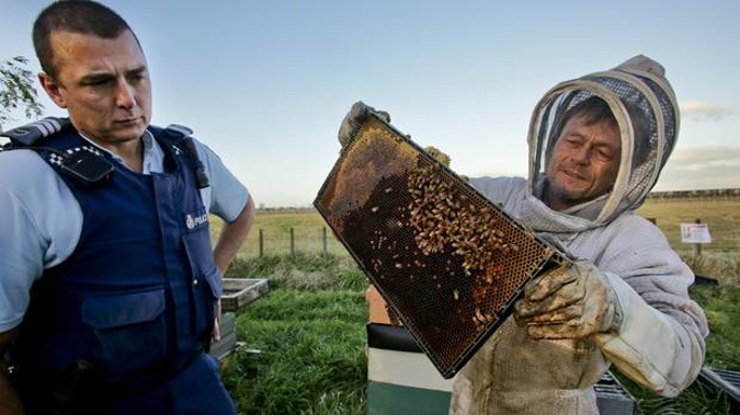 Sergeant Andrew Graham and Bryan Rogers of Beagle's Bees check some hives after 38 were stolen near Hastings in July 2016 (Warren Buckland)
