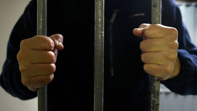 An Auckland man has been jailed for 12 years after inflicting "sadistic" violence on his partner and children. (Photo / File)