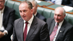 Barnaby Joyce reveals his separation in Parliament. (Photo \ Getty Images)