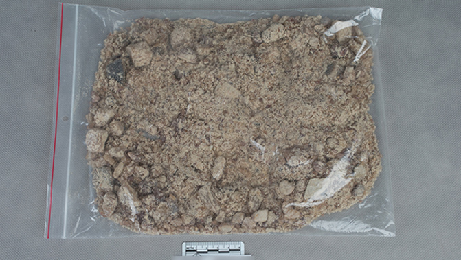 The MDMA drugs were powdered, similar to these ones confiscated in 2012. (Photo / Supplied)