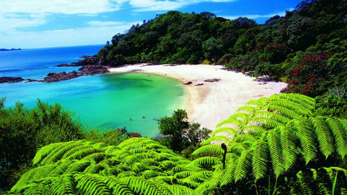 Just north of Matapouri Bay is the crescent-shaped show-stopper of Whale Bay. (Photo: Whale Bay)