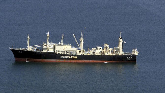 The Nisshin Maru whaling ship (Getty Images)