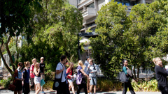University of Canterbury campus (Photo \ supplied)