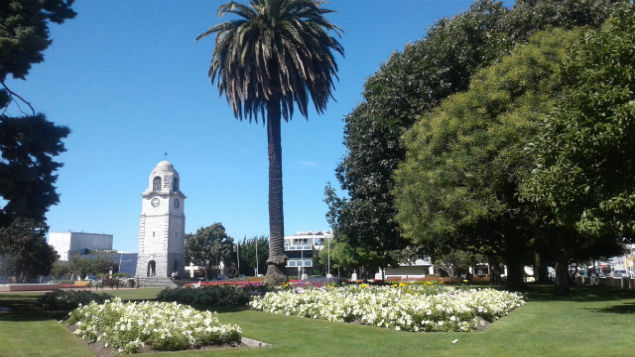 Seymour Square Blenheim. (Photo: Mike Yardley)