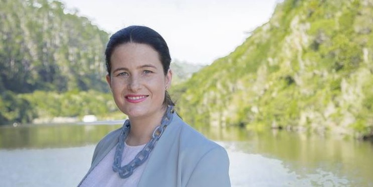 Nicola Willis nearly made it into parliament before special votes were counted. (Photo / File)