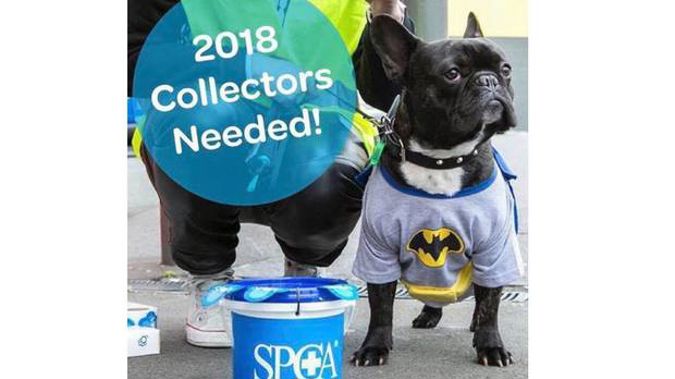 The SPCA were criticised by some for this social media post using a French bulldog.