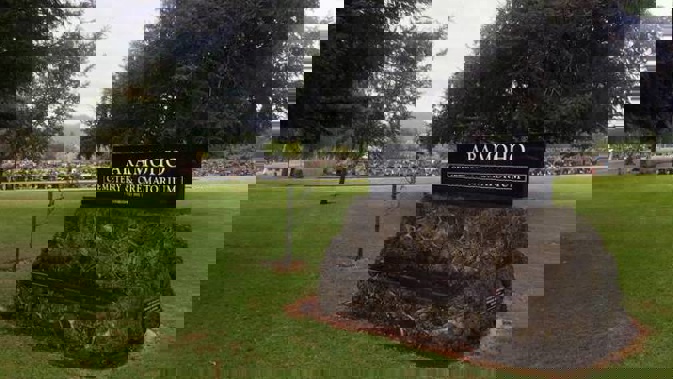 The Whanganui District Council is being called on to fix problems with water in Aramoho Cemetery graves. Photo / Stuart Munro