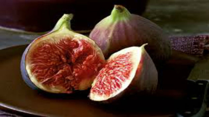 The edible fig is one of the first plants to be cultivated by humans, dating back to 9400 BC. (Photo: Mike Van de Elzen)
