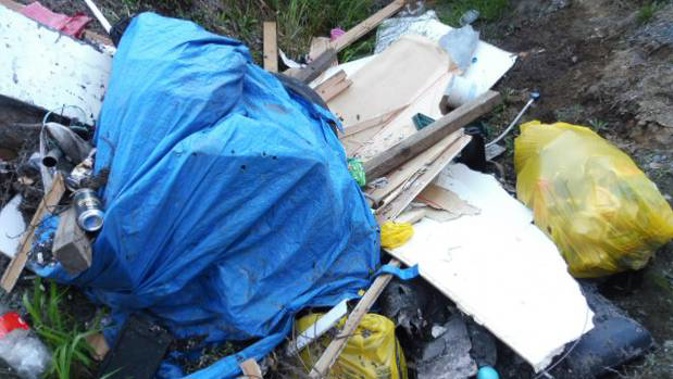A small part of the rubbish dumped at Waipapakauri. (Photo / Michele Mitcalfe)