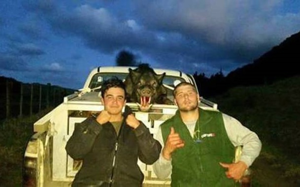 Pig hunters Theo and Chad Scrivener had their pig dogs burned alive by thieves. (Photo / Supplied)