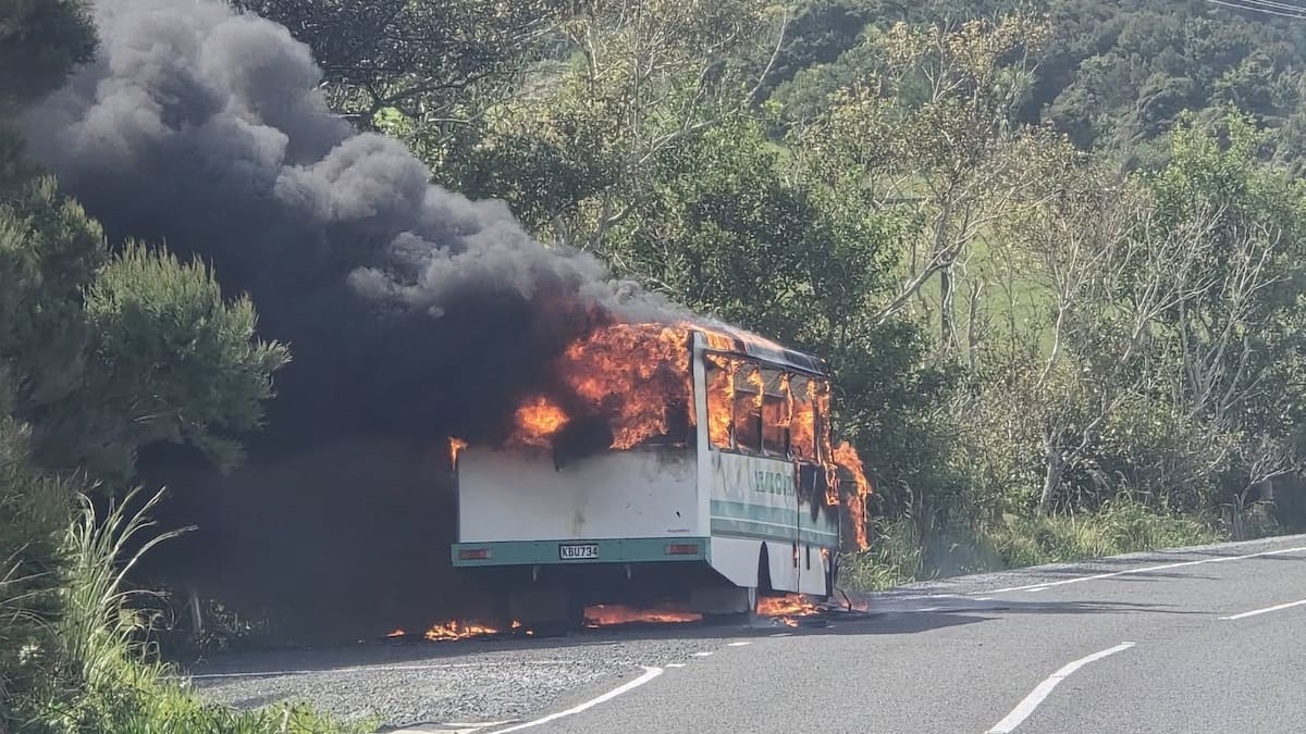 Watch: Girl says main door wouldn't open as students fled school bus blaze