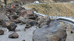 More than 450 properties in the Port Hills have been cleared since the Canterbury earthquakes and LINZ has been responsible for replanting and maintaining the sites where houses can no longer be built due to rock fall and cliff collapse. (Photo \ NZ Herald)