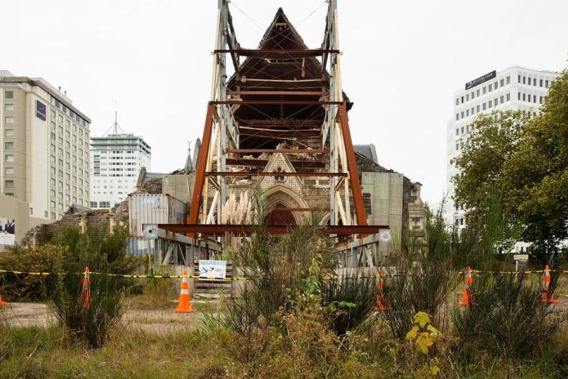 Weeds, gorse and other vegetation cover the site of the Christ Church Cathedral. (Photo / Star Kiwi)