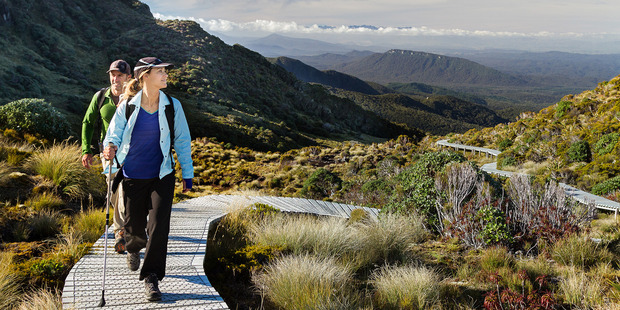 One tourism expert says New Zealand should be encouraging high-end tourists and backpackers here. (Photo \ File)