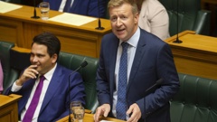 Coleman has left parliament after 12 years as an MP. (Photo / NZ Herald)