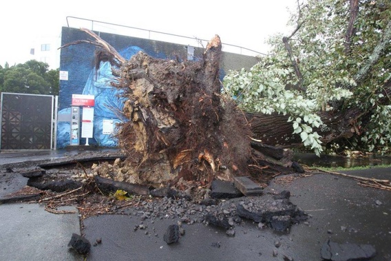 The storm will continue tonight while thousands of homes are still without power. (Photo / NZ Herald)