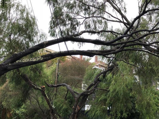 It tops a week of bad weather and power failures in the city. (Photo / NZ herald)