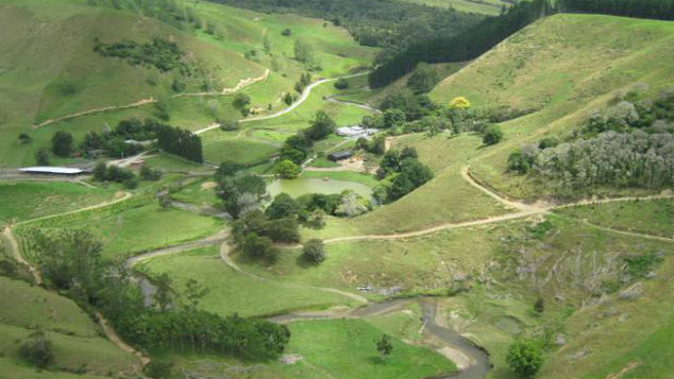 An aerial view of the 60 hectare de Wys property in Hauturu Waikato. (Photo: NZ Herald/Supplied)
