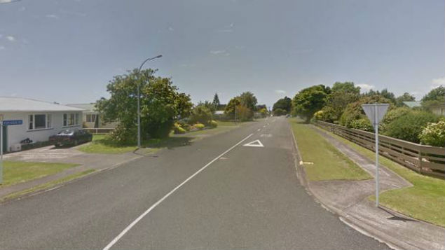 A man has died after a fight with his son in Pukatea St, Inglewood. (Photo / Google Street View)
