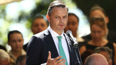 James Shaw says a new poll shows the coalition still has the most support. (Photo / Getty)
