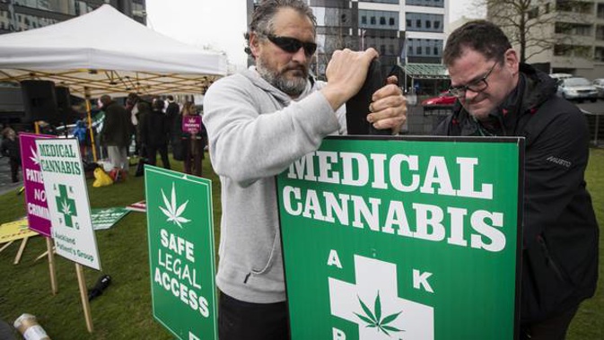 Parliament is considering a law change which will decriminalise medical cannabis for terminally ill patients. (Photo / Jason Oxenham)