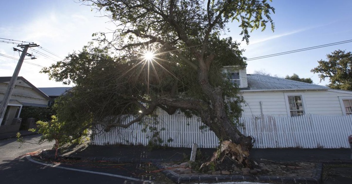 Auckland spent most of their time without power whining rather than reflecting on the plight others have experienced. (Photo / NZ Herald)