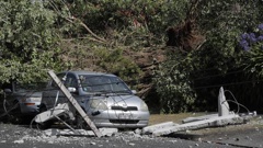 Power lines were downed across the Auckland region earlier this month. (Photo / NZ Herald)