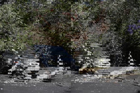 Power lines were downed across the Auckland region earlier this month. (Photo / NZ Herald)