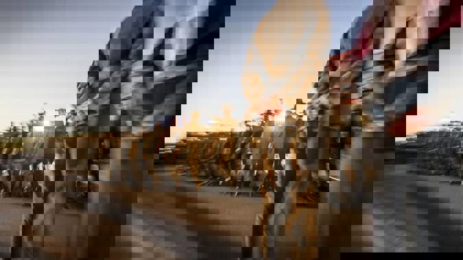 Anzac Day Services Around New Zealand