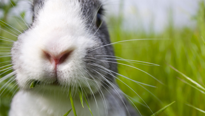 Zhukov told police at the time he had drunk a bottle of red wine before driving (Photo \ File)